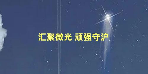 汇聚微光 顽强守沪